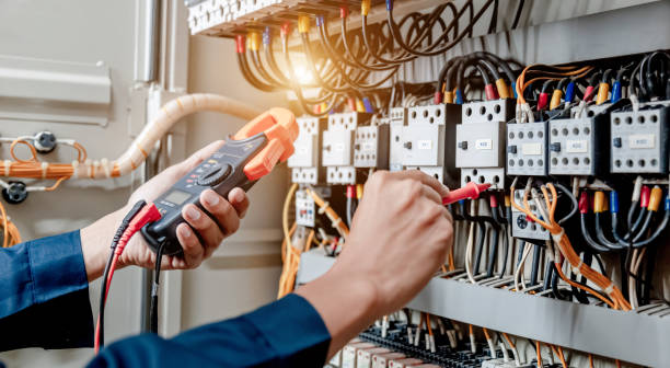 Best Electric Panel Repair  in Canyon Lake, TX